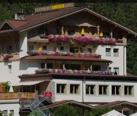 Christian Apartament