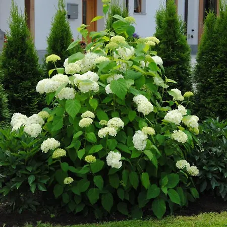 Apartament Christian Mayrhofen